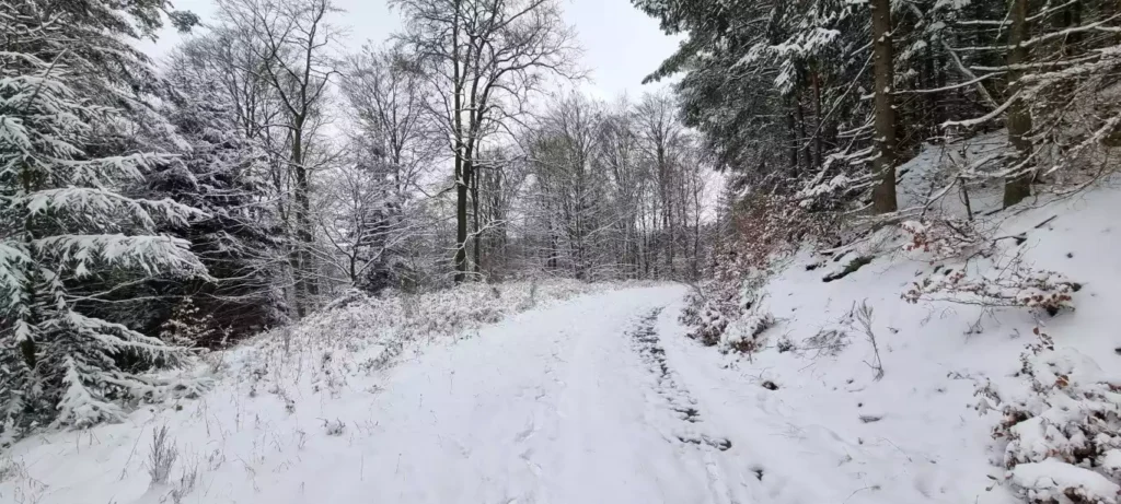Feestdagen in het zadel in de mooie Eifel
