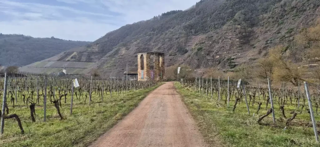 Eifel en Moezel, meer dan alleen fietsen