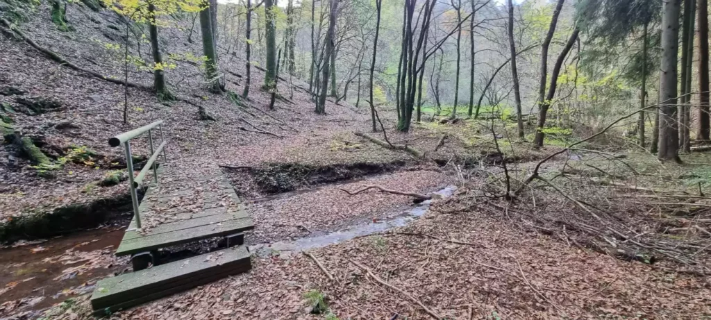 Wandelen in de herfst en winter is gewoon lekker genieten!