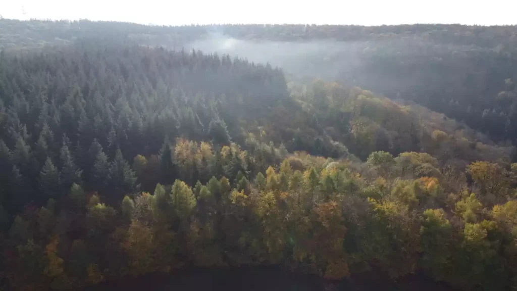 Herfst in de Eifel, ideaal voor gravelbiken