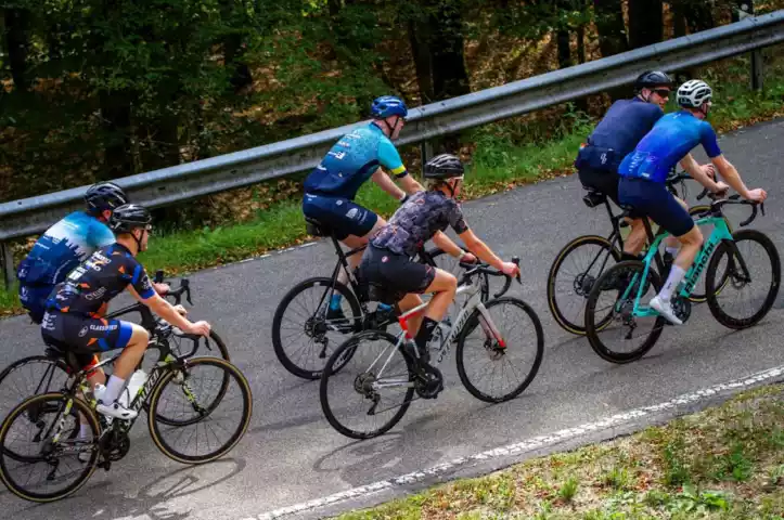 Groep wielrenners beklimt een heuvelachtige weg door de bossen van de Vulkaaneifel.
