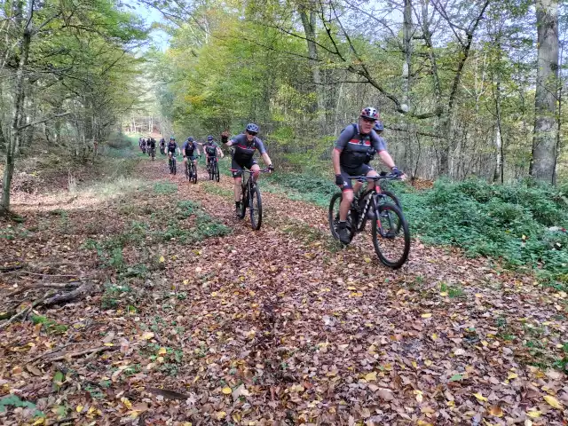 Groep fietsers rijdt over een met bladeren bedekt bospad in de Hunsrück.