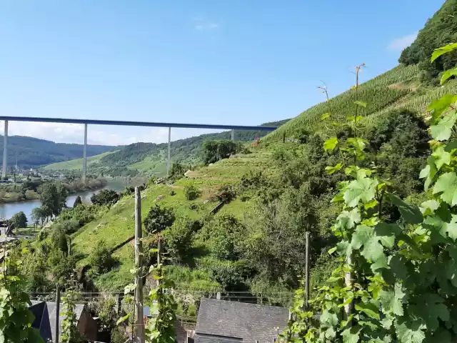 Uitzicht over het Moezeldal met wijngaarden, groene heuvels en een hoge brug.